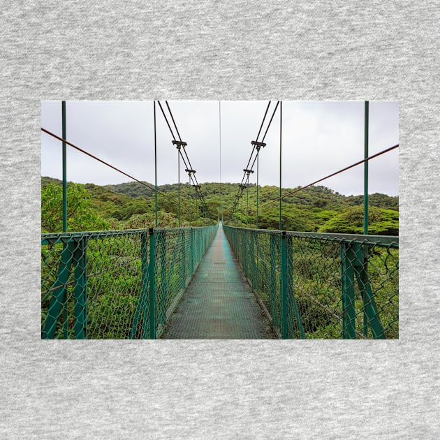 Suspension bridge in rainforest by Juhku